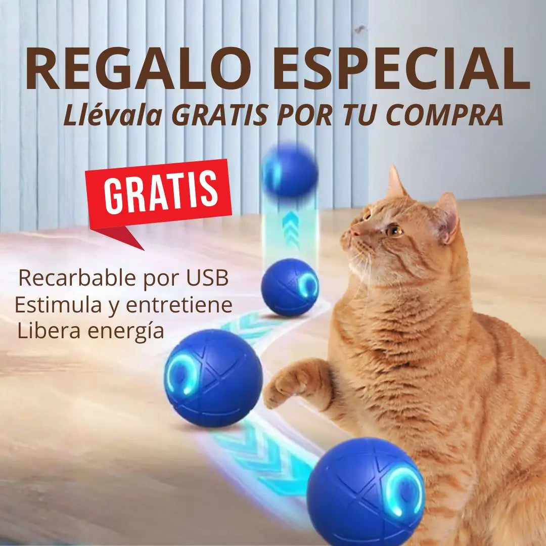 CatJoy estimula y acompaña a tu michi