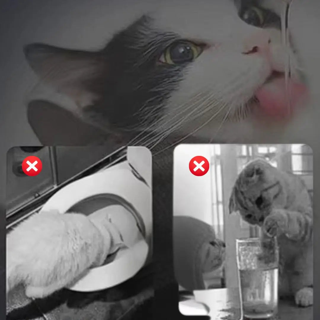 Bebedero fuente para gatos + REGALO