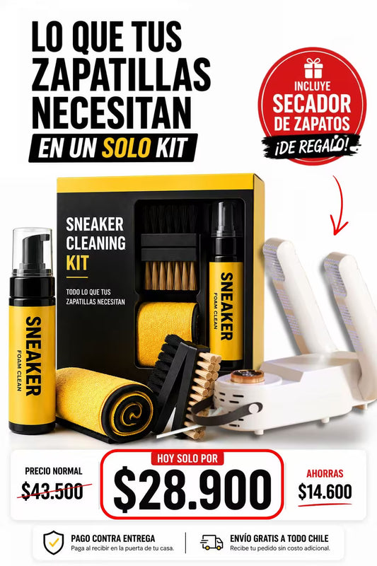 Kit para limpiar zapatos
