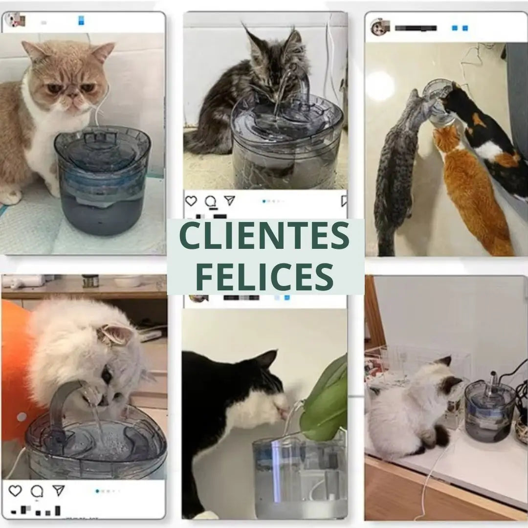 Bebedero fuente para gatos + REGALO